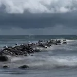 14 Person In * Blåvand