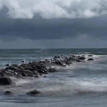 14 Person In * Blåvand