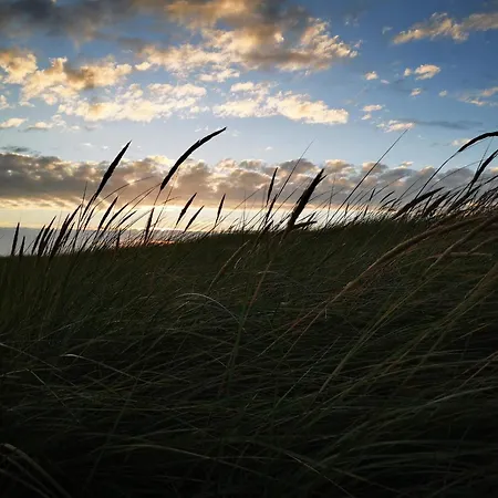 14 Person In * Blåvand